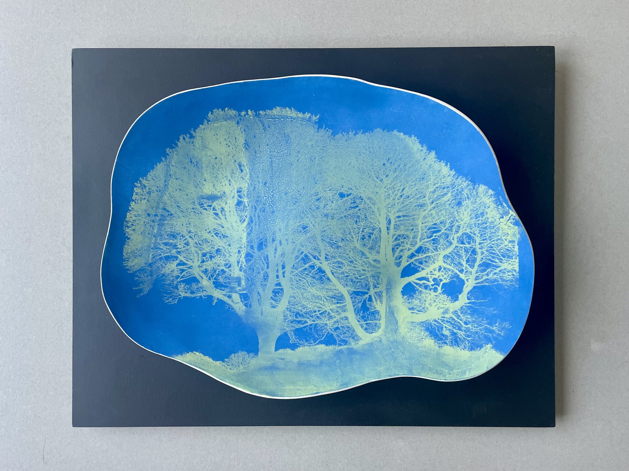 Cyanotype Trees