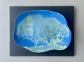 Cyanotype Trees