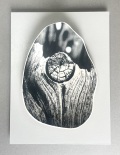 Hollowed